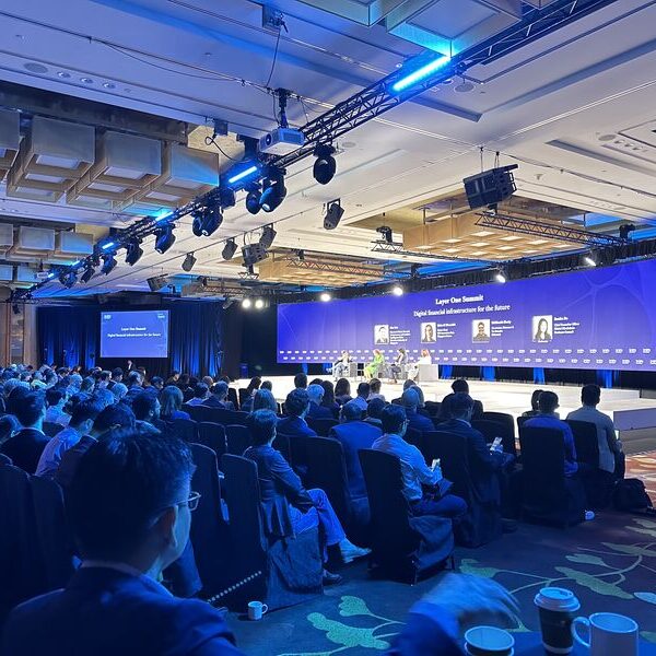 Forumların təşkili